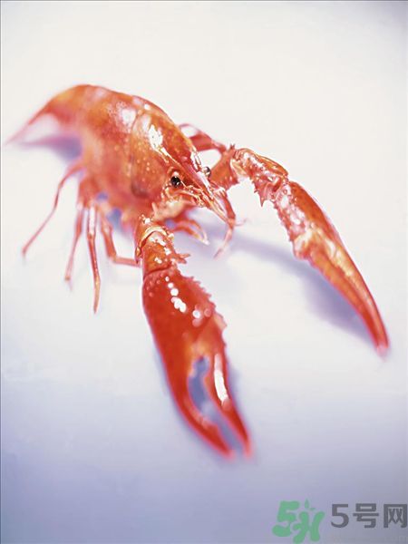 油燜大蝦為什么肉散了？油燜大蝦怎么做肉不散？
