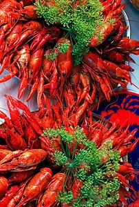 油燜大蝦用的是什么蝦？油燜大蝦用什么蝦最好？