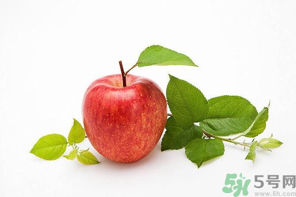 晚上9點以后可以吃蘋果嗎？晚上吃蘋果好不好？