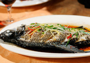 武昌魚(yú)是淡水魚(yú)嗎?武昌魚(yú)是不是淡水魚(yú)?