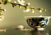春天喝什么茶養(yǎng)生最好？春天喝茶要注意什么？