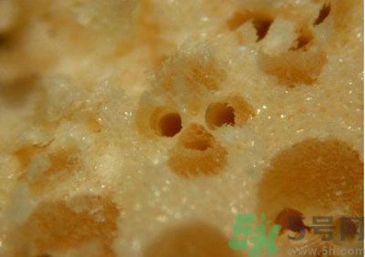 經(jīng)常用一次性筷子可以嗎？一次性筷子有病毒嗎？