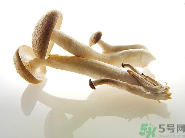 菇類的營養(yǎng)價(jià)值有哪些？怎樣挑選優(yōu)質(zhì)的菇類？