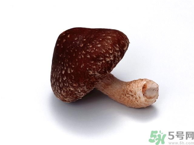 西紅柿發(fā)青可以吃嗎？青西紅柿吃了好不好？