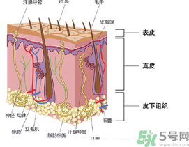 為什么頭發(fā)越來(lái)越油？頭發(fā)應(yīng)該幾天洗一次？