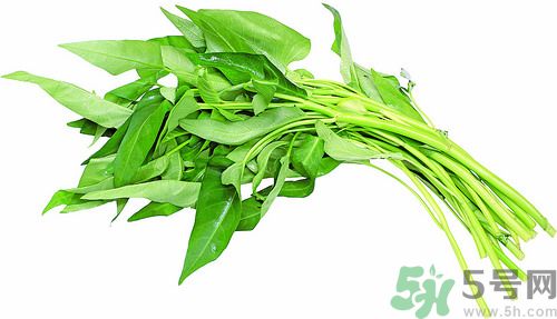 空心菜和雞能一起吃嗎？空心菜怎么吃有營(yíng)養(yǎng)？