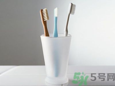 牙齦出血要換牙刷嗎？牙刷多久換一次好？