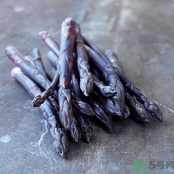 紫蘆筍是轉(zhuǎn)基因嗎？紫蘆筍和綠蘆筍哪個(gè)好？