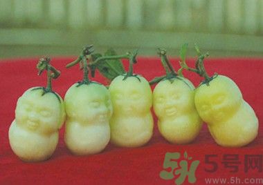 人參果怎么吃？人參果的營養(yǎng)價值有哪些？