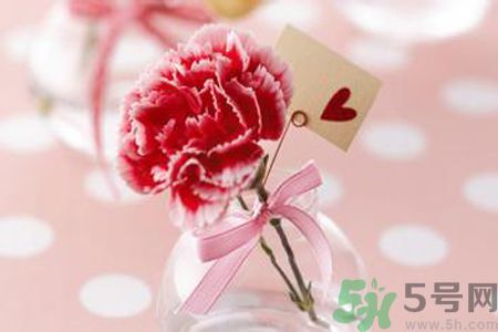 母親節(jié)送什么顏色的康乃馨？母親節(jié)應(yīng)該買什么顏色的康乃馨？