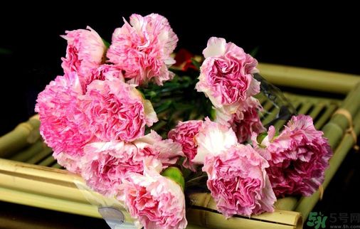 母親節(jié)送什么花好？母親節(jié)應該送什么鮮花？