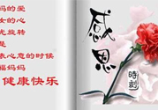 母親節(jié)送什么花好？母親節(jié)應該送什么鮮花？