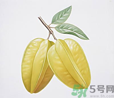 楊桃和什么不能一起吃？楊桃不能與什么同食？