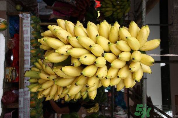 孕婦可以吃牛奶蕉嗎？孕婦吃牛奶蕉好嗎？