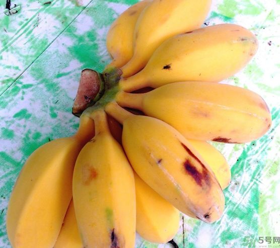 什么是牛奶蕉？牛奶蕉好吃嗎？