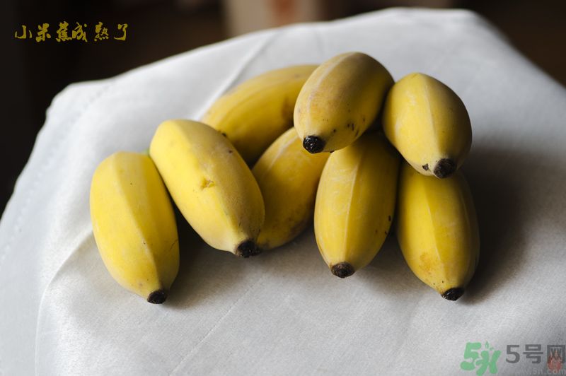 牛奶蕉可以和蘋(píng)果一起吃嗎？牛奶蕉和蘋(píng)果一起吃好嗎？