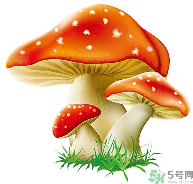 吃蘑菇可以喝酒嗎？吃蘑菇喝酒會中毒嗎？