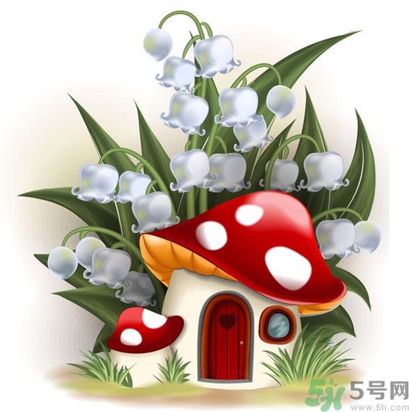 吃蘑菇可以喝酒嗎？吃蘑菇喝酒會中毒嗎？