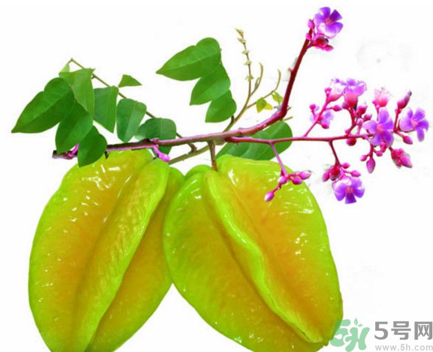 慢性腎炎可以吃楊桃嗎？慢性腎炎吃楊桃好嗎？