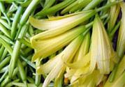 吃黃花菜有什么好處?吃黃花菜下奶嗎