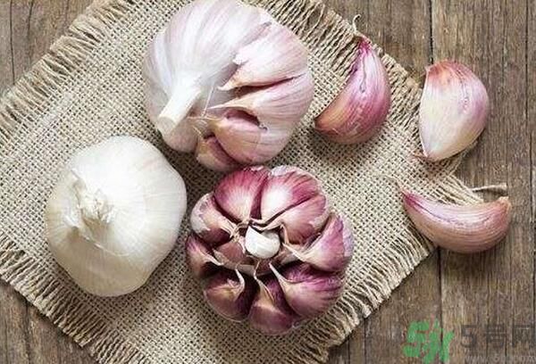 提高記憶力要吃什么食物？吃什么食物提高記憶力？