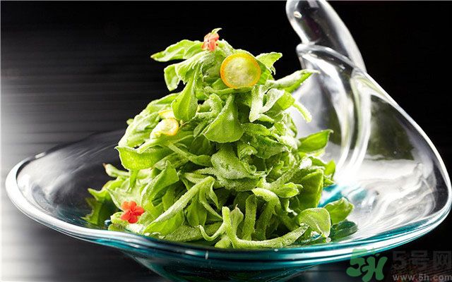 什么是冰草？冰草有什么作用？
