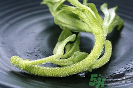 冰草好吃嗎？冰草怎么做好吃？