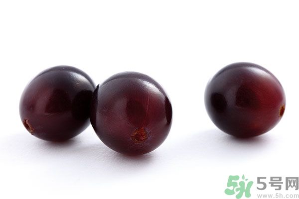 骨質疏松能吃葡萄嗎？骨質疏松吃葡萄好嗎？