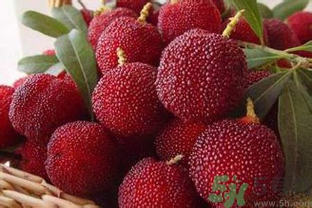 楊梅是不是發(fā)物？楊梅是發(fā)物嗎？