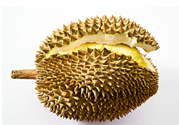 吃榴蓮會上火嗎？榴蓮是發(fā)物嗎？