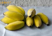 牛奶蕉可以減肥嗎？牛奶蕉怎么吃減肥？