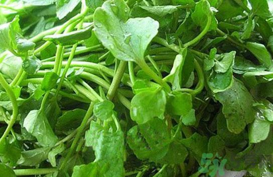 水腫能吃茄子嗎？茄子能消水腫嗎？