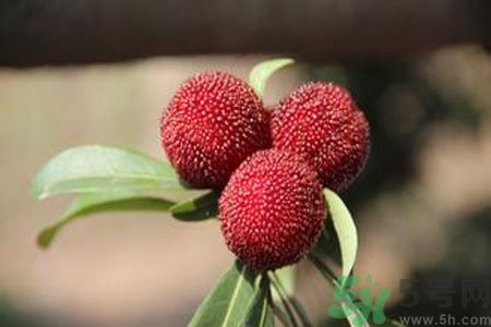 吃楊梅會(huì)上火嗎？吃楊梅上火怎么辦？