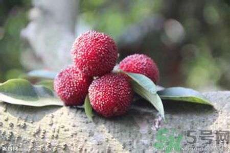 吃楊梅會(huì)上火嗎？吃楊梅上火怎么辦？