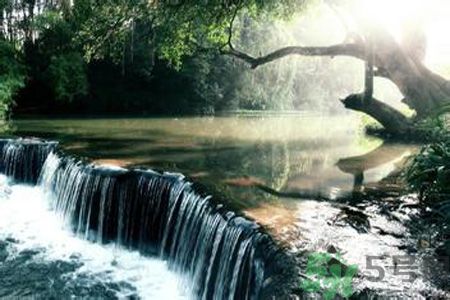 為什么夏至有雨三伏熱？夏至有雨三伏熱是什么意思？