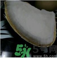 椰子可以放冰箱嗎？椰子放冰箱容易壞嗎？