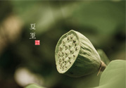 夏至有什么習(xí)俗？夏至吃什么傳統(tǒng)食物？
