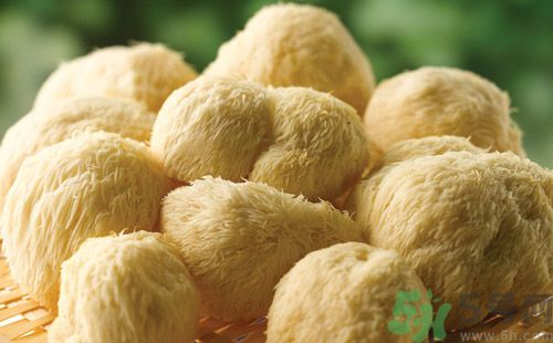 吃猴頭菇有什么好處？猴頭菇有什么營養(yǎng)價值？