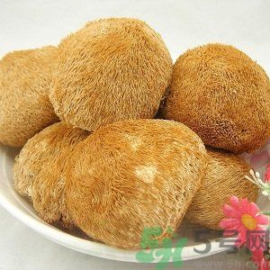 吃猴頭菇有什么好處？猴頭菇有什么營養(yǎng)價值？