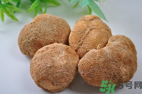 猴頭菇粉怎么做？猴頭菇餅干怎么做？