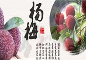 喉嚨痛可以吃楊梅嗎？喉嚨痛吃楊梅好嗎？