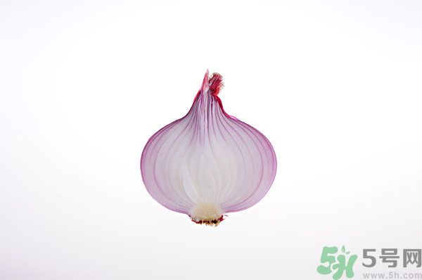 吃洋蔥上火嗎？吃洋蔥會上火嗎？