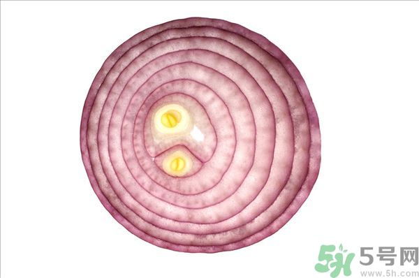 吃洋蔥上火嗎？吃洋蔥會上火嗎？