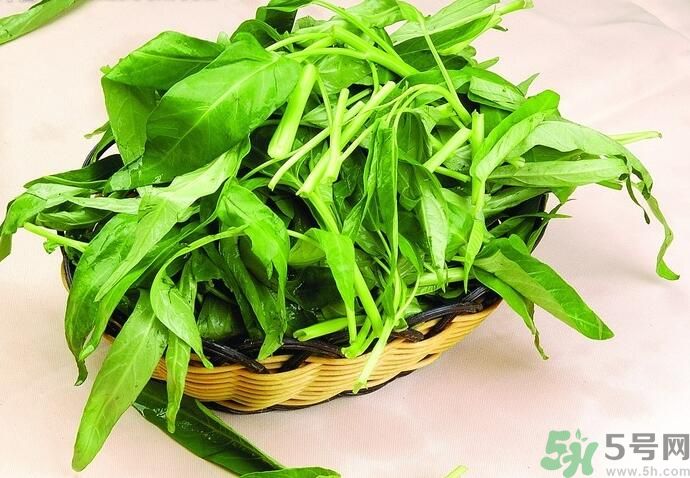 空心菜有什么功效？空心菜的功效是什么？