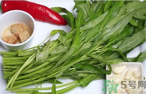 空心菜吃葉子還是吃桿？空心菜吃葉子好嗎？