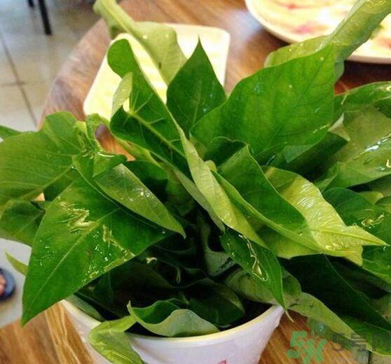 空心菜泡水了還能吃嗎？泡水的空心菜可以吃嗎？