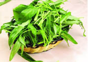 吃空心菜有什么好處？多吃空心菜對(duì)身體好嗎？