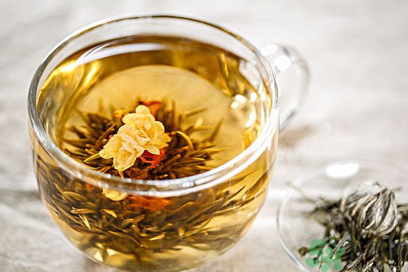 茉莉花綠茶加苦瓜能減肥嗎？茉莉花和苦瓜泡水喝嗎？