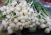 山蒜能吃嗎？小山蒜有毒嗎吃了對(duì)身體有害嗎？