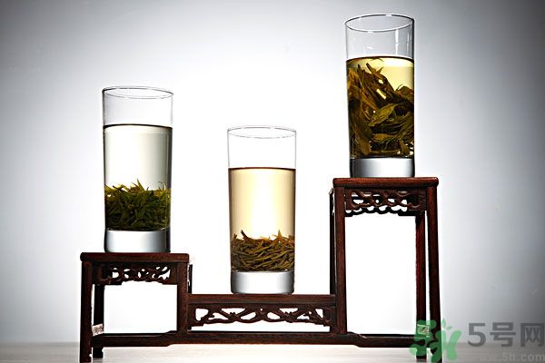 茯苓和苦丁茶能一起泡嗎？茯苓可以和苦丁茶一起喝嗎？